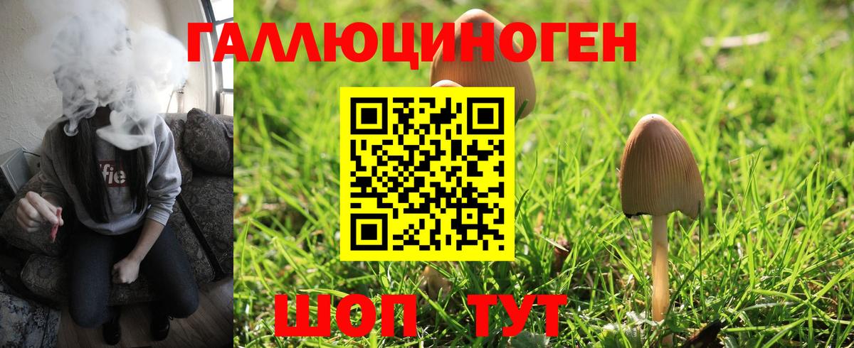 Псилоцибиновые грибы ЛСД  Вход с VPN  Сухой Лог 