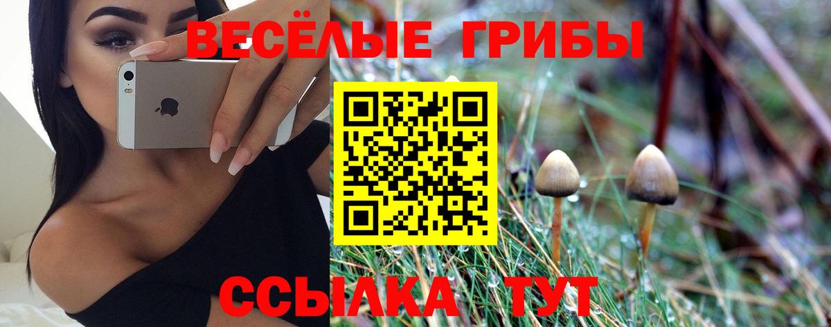 Псилоцибиновые грибы GOLDEN TEACHER Сухой Лог